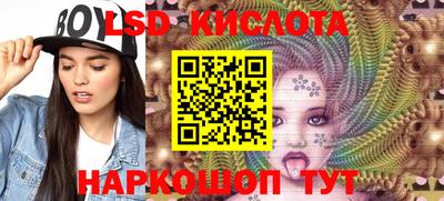 гидра Волгодонск