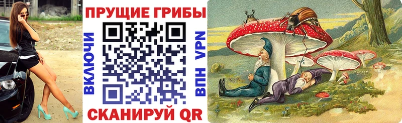 Псилоцибиновые грибы прущие грибы  купить   Омск 