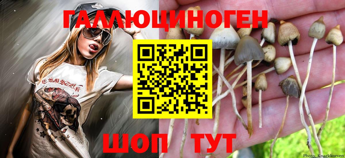 Галлюциногенные грибы MAGIC MUSHROOMS  где можно купить   Галлюциногенные грибы GOLDEN TEACHER  Омск 