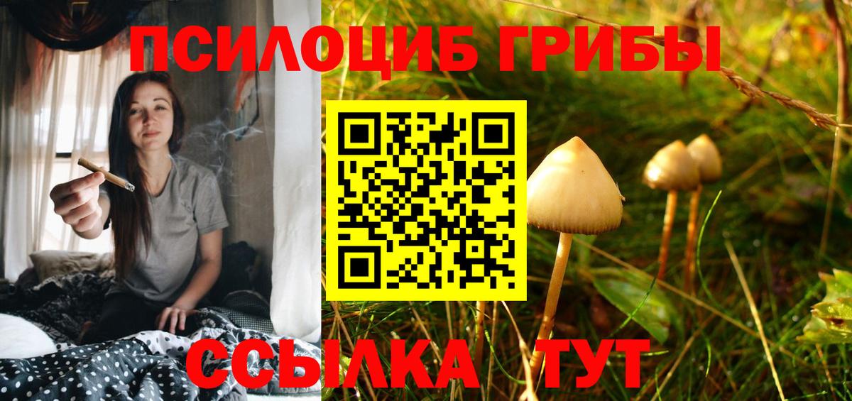 Омск  сколько стоит  Псилоцибиновые грибы ЛСД  Вход с VPN  Галлюциногенные грибы MAGIC MUSHROOMS 