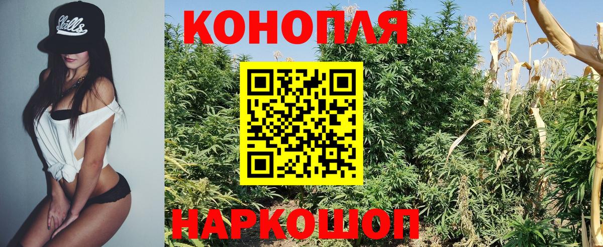 Бошки Шишки THC 21%  Бошки марихуана семена  Конопля AK-47  Вход с VPN  Омск  Конопля THC 21% 